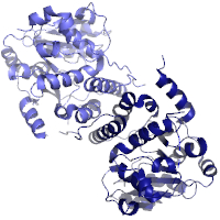 visualize pdb 7QCP
