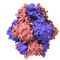 visualize pdb 8TCH