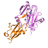 visualize pdb 8TYY
