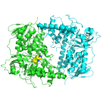 visualize pdb 8RS4