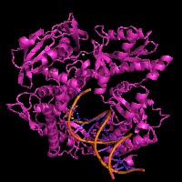 visualize pdb 8S84