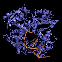 visualize pdb 9EMI