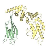 visualize pdb 9BZ4