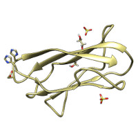 visualize pdb 9C14