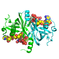 visualize pdb 9FD4