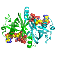 visualize pdb 9FD5