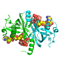 visualize pdb 9FD6