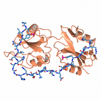 visualize pdb 9MQ5