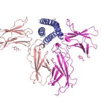 visualize pdb 9E2T