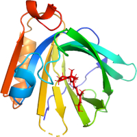 visualize pdb 9I7N