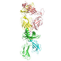 visualize pdb 9NMU
