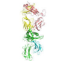 visualize pdb 9NMV