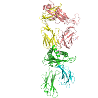 visualize pdb 9NMW