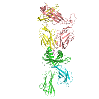visualize pdb 9NMY