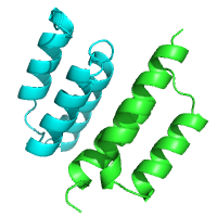visualize pdb 9NKQ