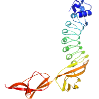 visualize pdb 9QR5