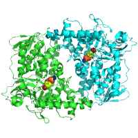 visualize pdb 9H6M