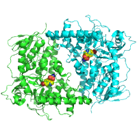 visualize pdb 9H6N