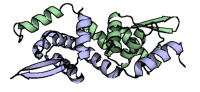 visualize pdb 9T6R