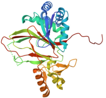 visualize pdb 8CDF