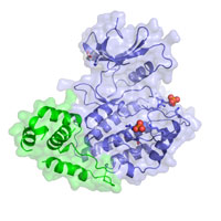 visualize pdb 4XHH