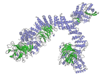 visualize pdb 4FHN