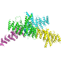 visualize pdb 5HAS