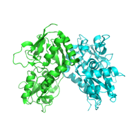 visualize pdb 5DTB