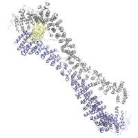 visualize pdb 5NW5