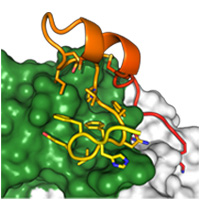 visualize pdb 6BLH