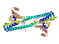 visualize pdb 6NQY
