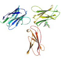 visualize pdb 7S2R