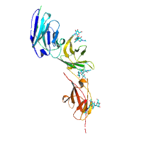 visualize pdb 7S2S