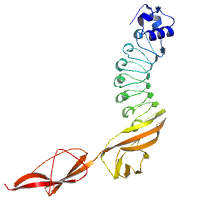 visualize pdb 7NMS