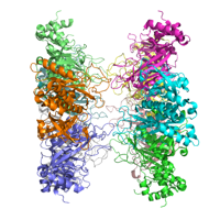 visualize pdb 4IS4