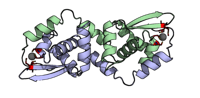 visualize pdb 9T6S
