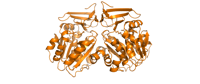 dataset 1266