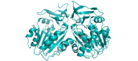 dataset 1268