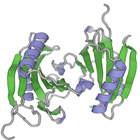 visualize pdb 13EE