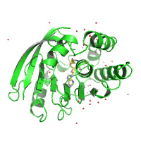 dataset 1300