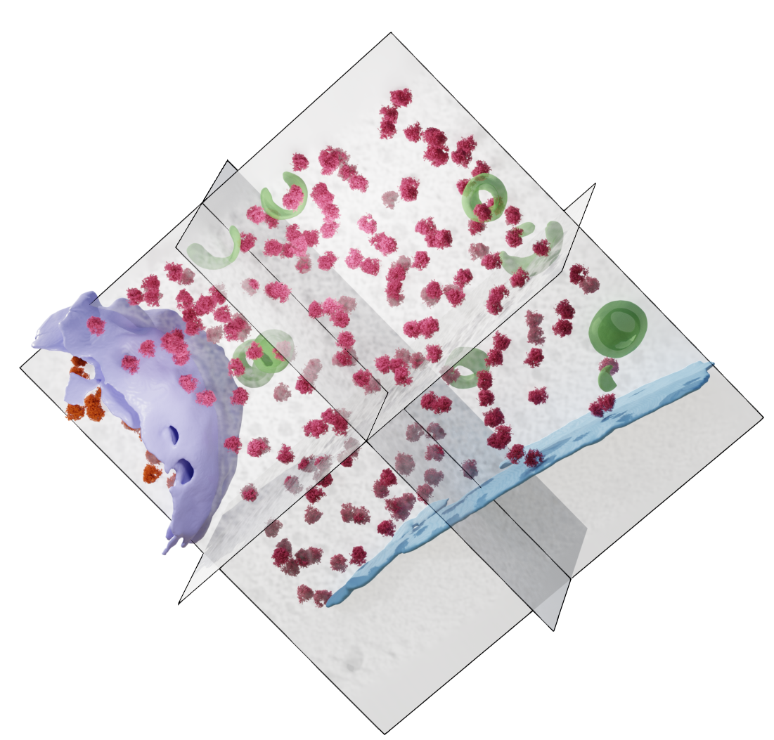 dataset 1255