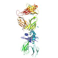 dataset 919