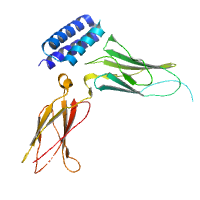 dataset 1217