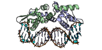 dataset 1261