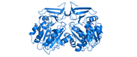dataset 1264